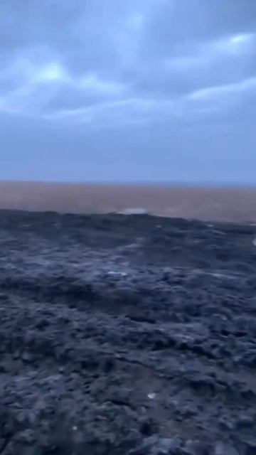 video_2026-02-23_10-20-31