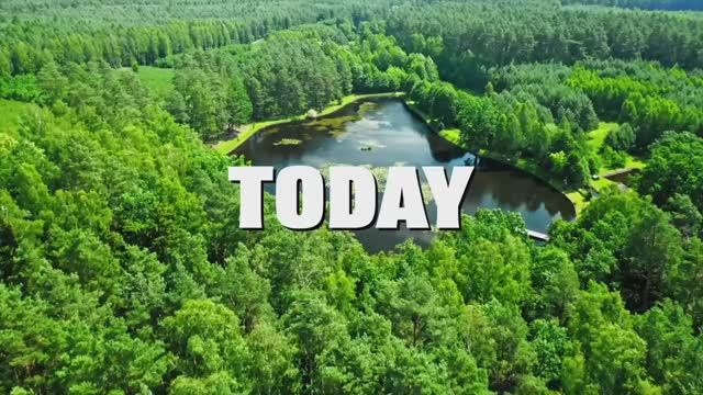 FISHING A DUCK LURE FOR POND MONSTERS