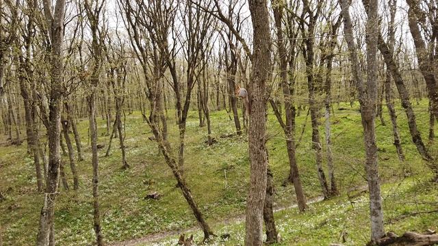 Ставрополь.Прогулка В Лес (Часть 3)