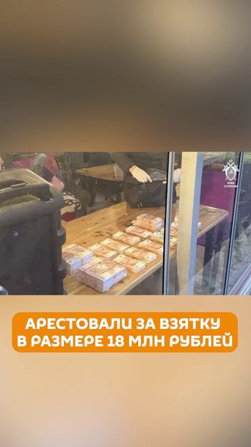 Замдиректора парка «Патриот» арестовали по делу о взятке