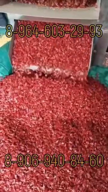 Станок для удаления семян перца чили (300 кг/ч)