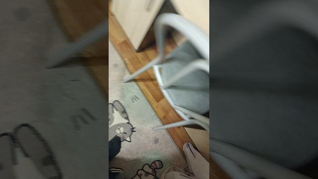 обучающее видео для начинающих подключаем z5r контроллер