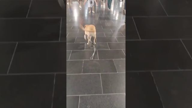 Ты не узнаешь.mp4