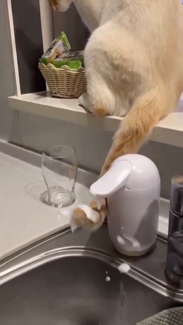 так вот кто мыло тратит ?!