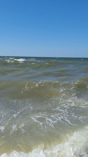 Азовское море. Голубицкая.