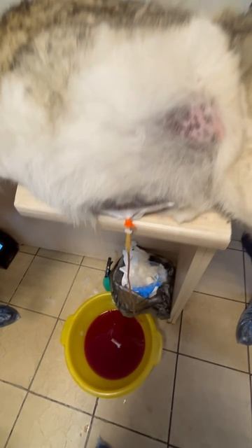 VID_20260422_114108_865.mp4.mov