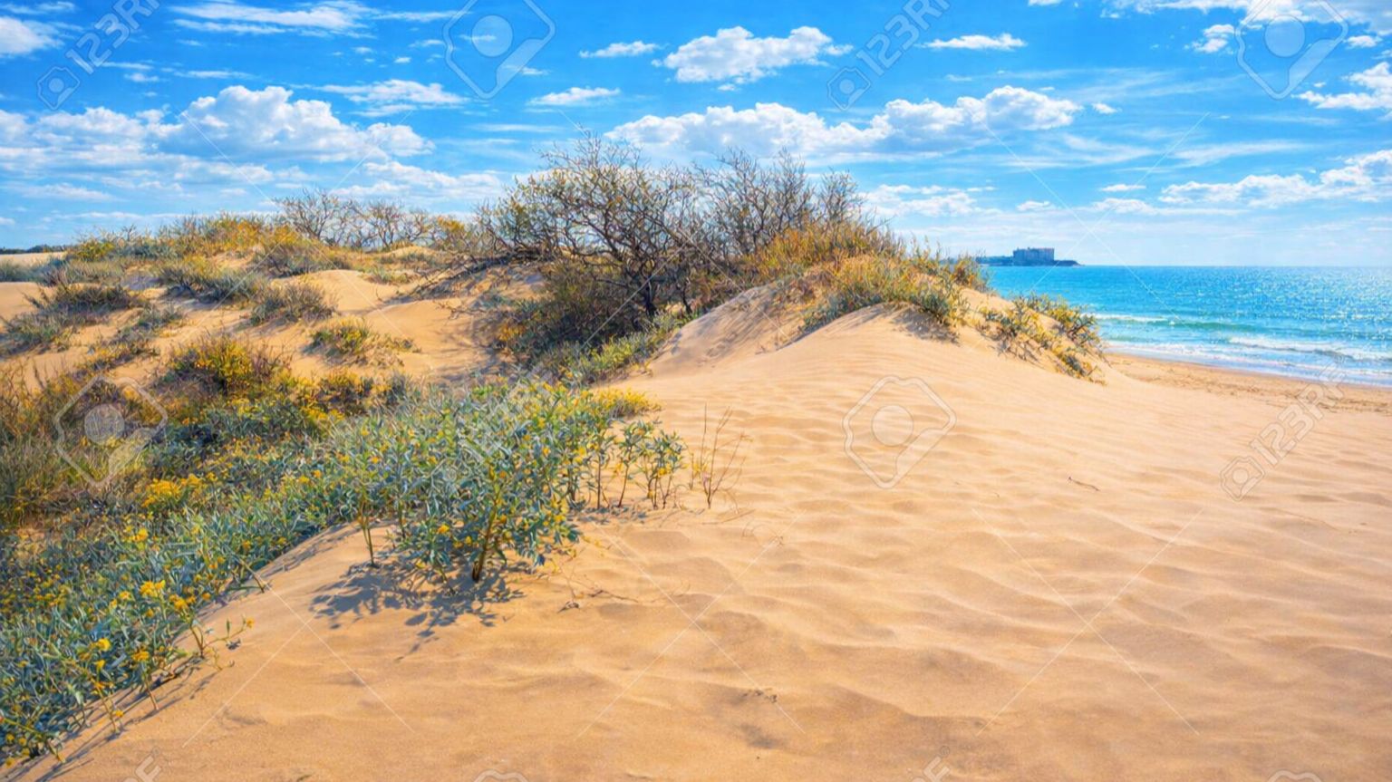 Без мазута, без погони за эффектами. Просто море, песок, дюны и южный воздух // 22 апреля 2026 года