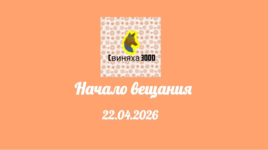 Начало вещания (Свиняха 3000 ТВ, 22.04.2026)
