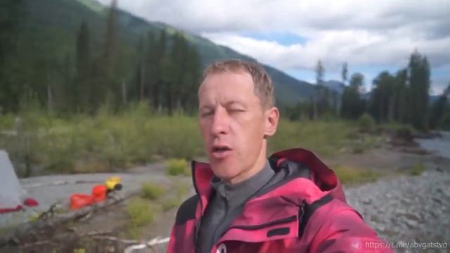 наши друзья выживают в лесу