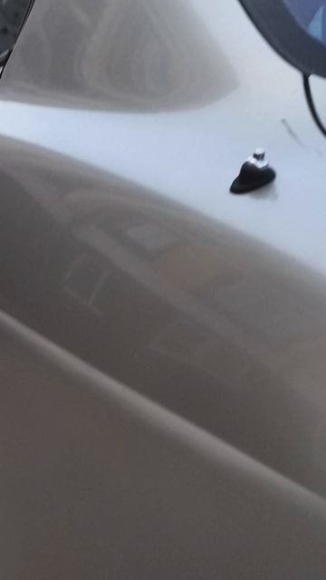 это сумасшедший Димка