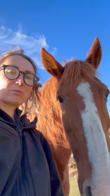 Животный социум