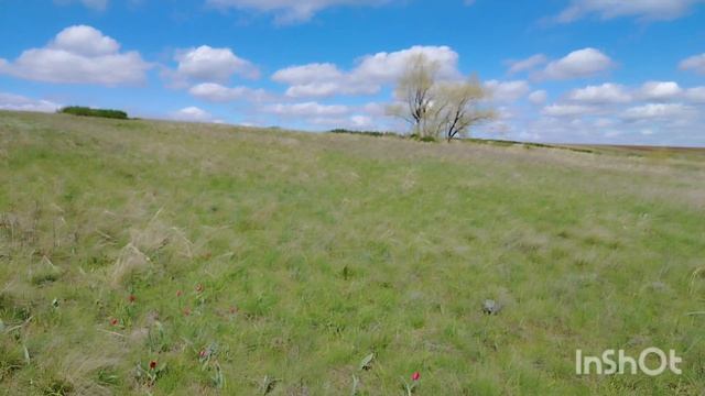 Наша природа. Сладково.