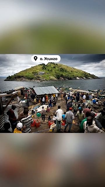 Зачем они здесь живут?