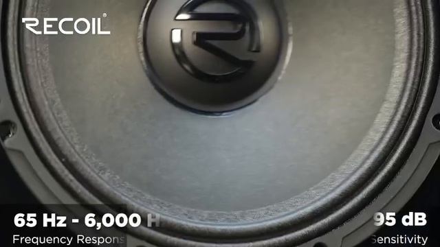 Эстрадные динамики Recoil RMB8-4P