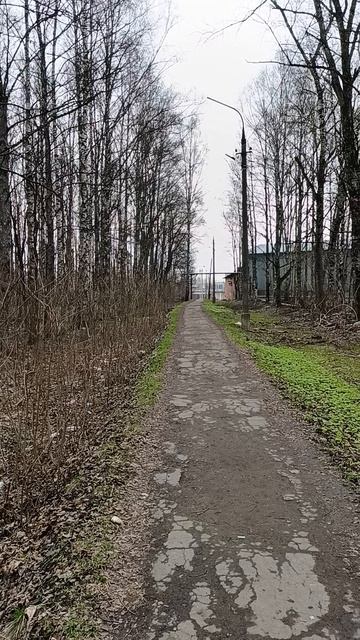 Синички весной 🕊️🐦 Хотьково 🏪