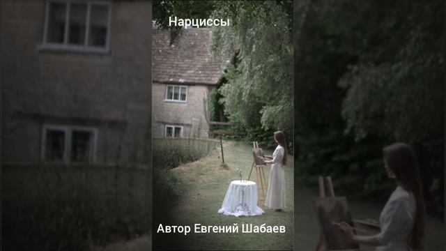 Нарциссы. Автор Евгений Шабаев
