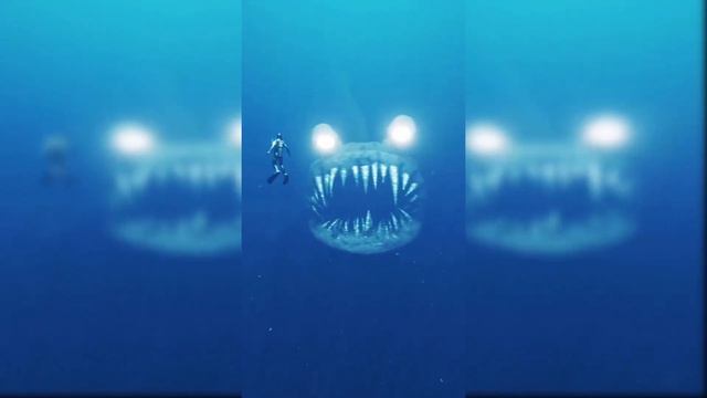 Deep sea dive 🐬 LIGHTS ARE OFF TIKTOK