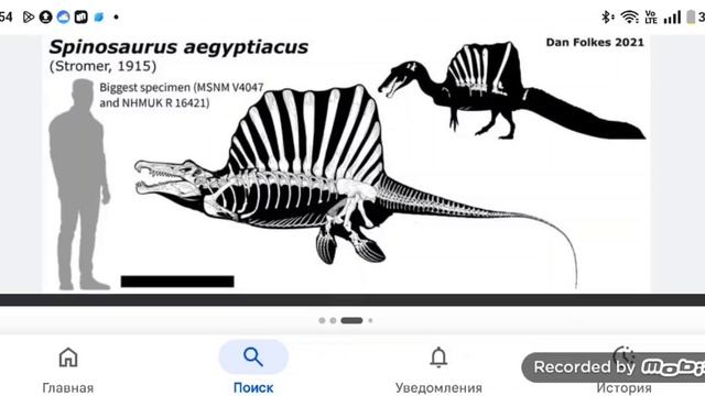 немножко о летающем спинозавре