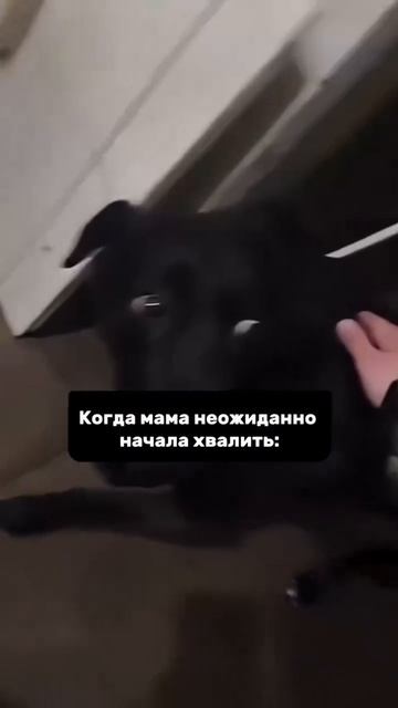 артикул в описании 👇🏻