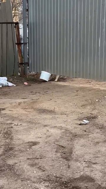 Ведро отдай