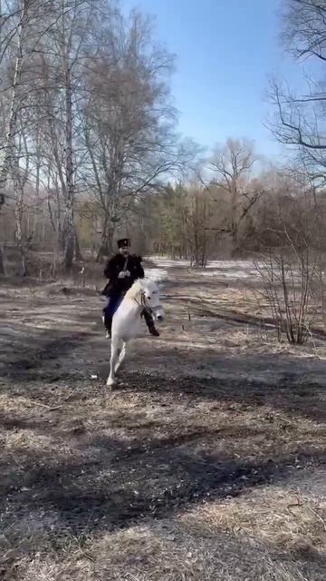 с шашкой на коне