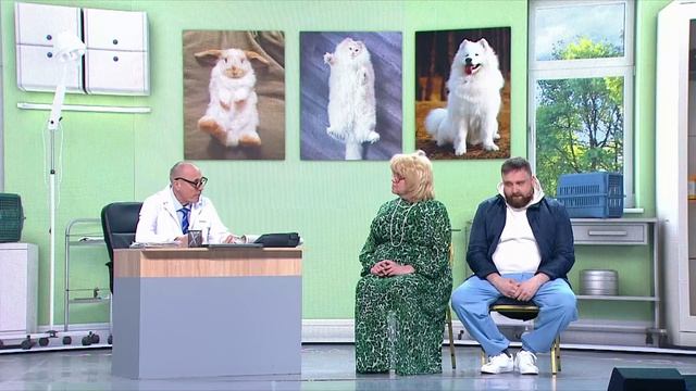 уральские пельмени у ветеринара