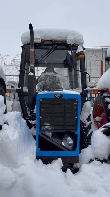 Пыхтит и кряхтит #фермер #беларус #agriculture #беларус82