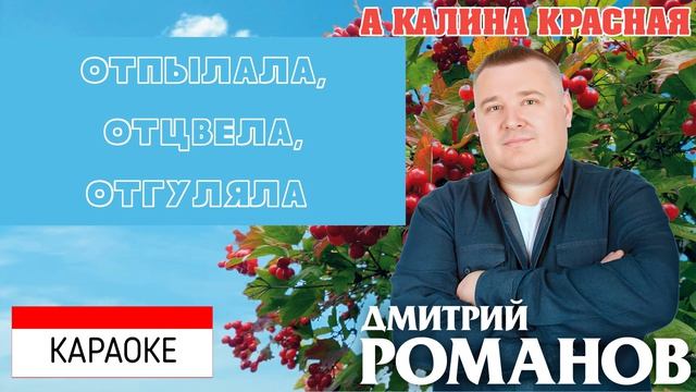 Дмитрий Романов - А калина красная (КАРАОКЕ)