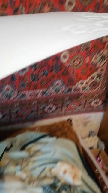 VID_20260422_104420.mp4