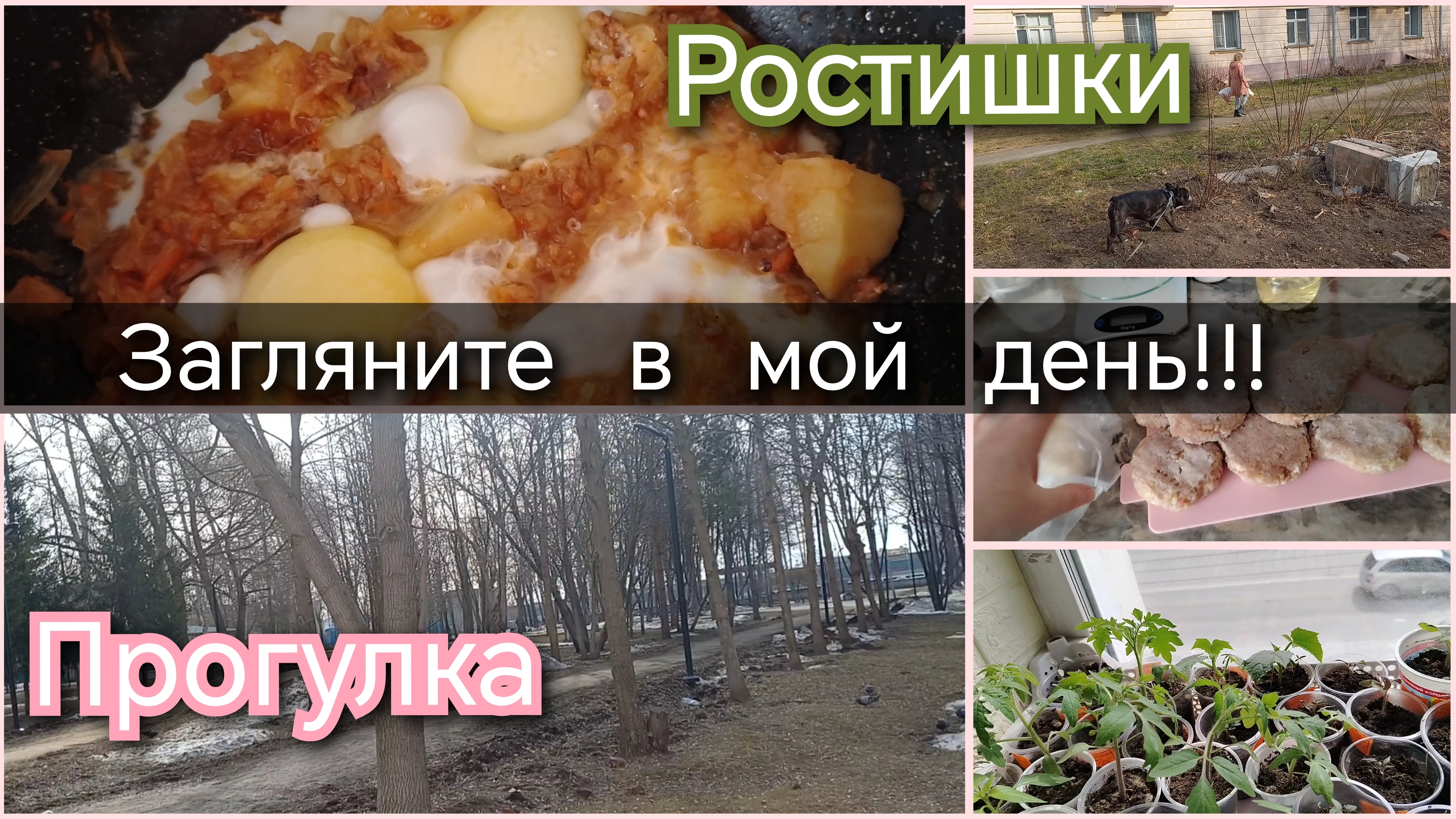 Загляните в мой день//ростишки//прогулка