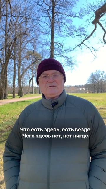 Закон полноты