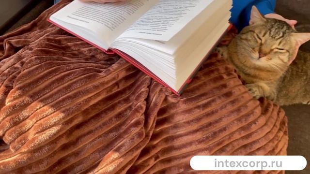 Плед БАРХАТНЫЙ УЮТ, коричневый, 150х130 см, 613875