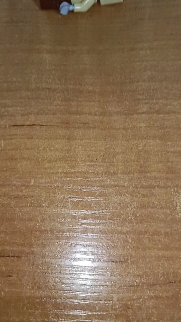 АНИМАТРОНИКИ