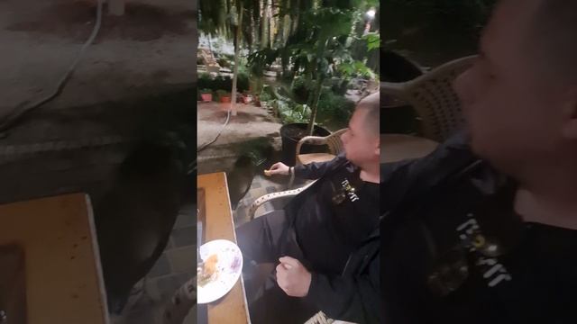 ботанический сад