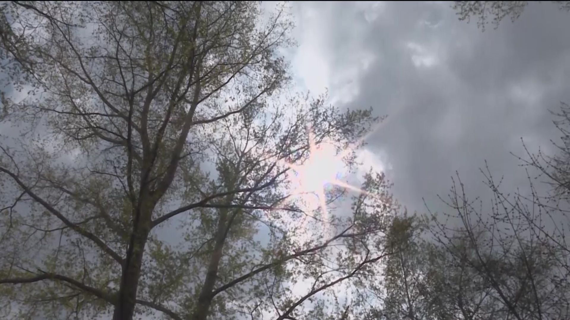 Синоптики предупреждают о заморозках и похолодании в Башкортостане