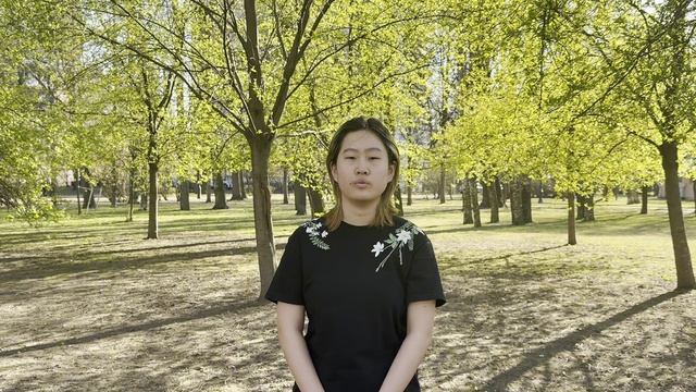 Константин Бальмонт. Я в этот мир пришёл  — исполняет  Лю На