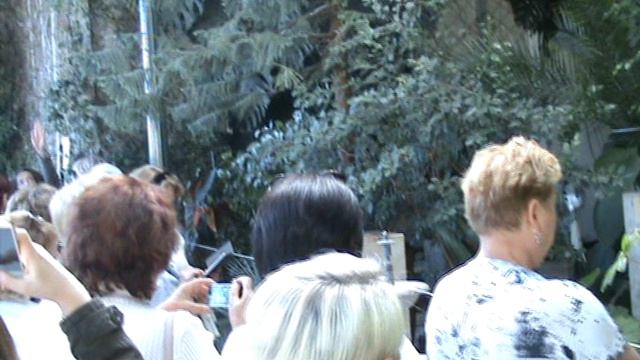 74)D ВОРОНЦОВЫЙ ДВОРЕЦ ВНУТРИ