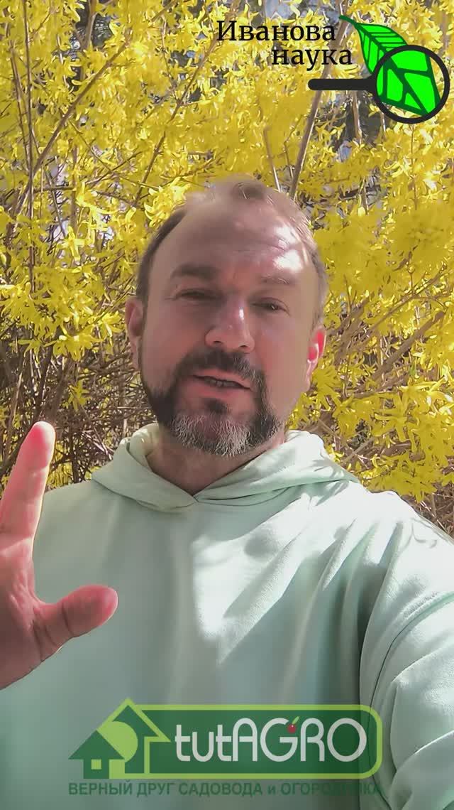 🛑 МИНЕРАЛЬНЫЕ УДОБРЕНИЯ — ТИХИЕ УБИЙЦЫ почвы, урожая и здоровья!