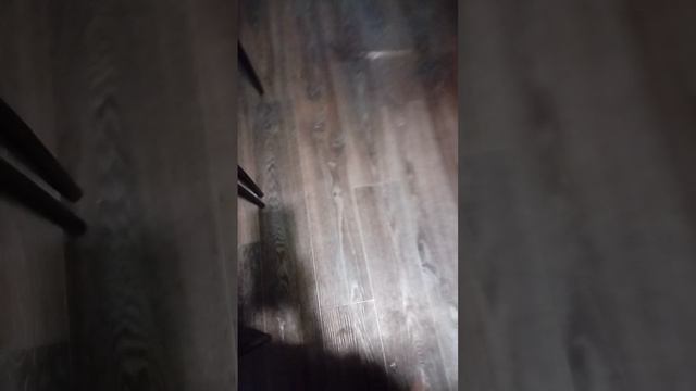 VID_20260422_192009.mp4