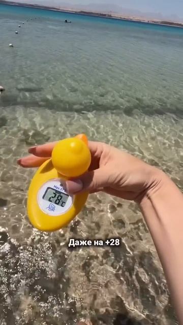 22 апреля в Египте