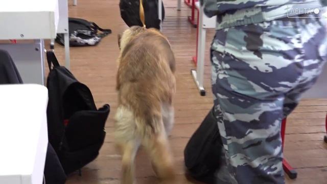 Вооружённое нападение и угроза взрыва