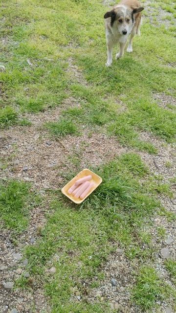 Маловато вкусняшек...