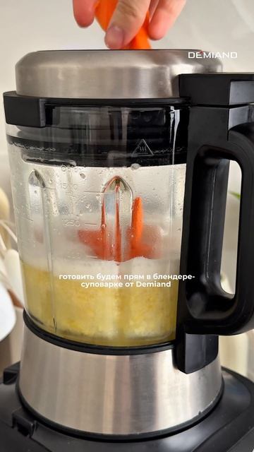 Готовила в Блендере-суповарке от DEMIAND ✨ арт вб: #WW287919 арт озон: #3210655127