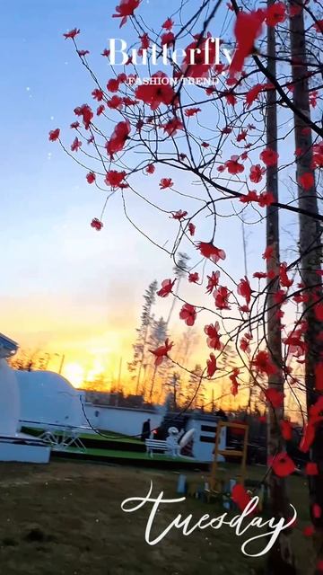 Весна в база отдыха Хэйлун , рядом с озером Лассылампи