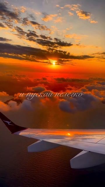 G U R O V «Автопилот» ✈️