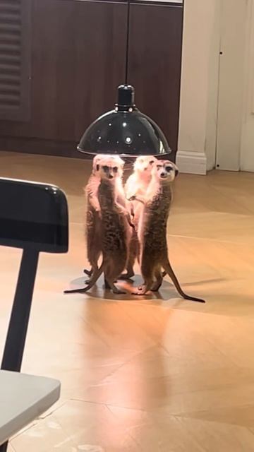 На подогреве