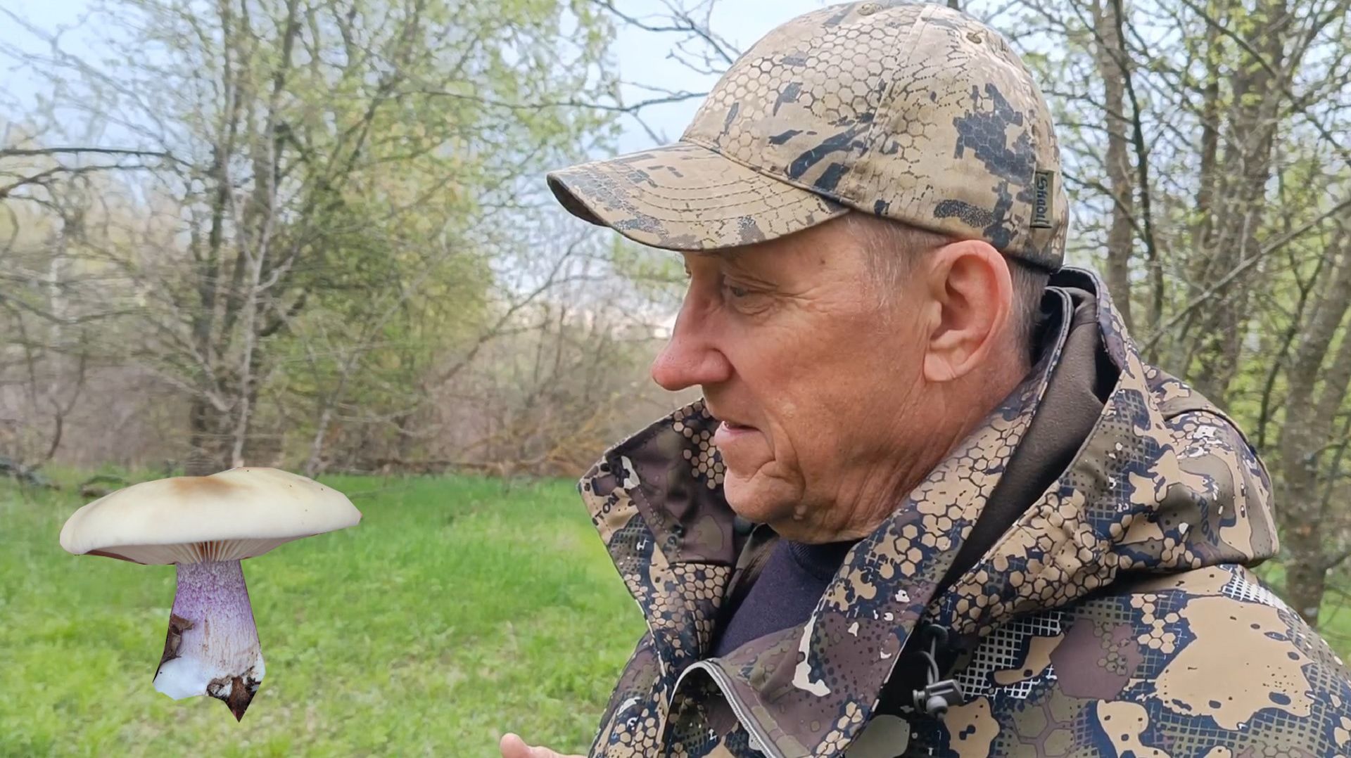 Синеножка - Экспресс сбор грибов