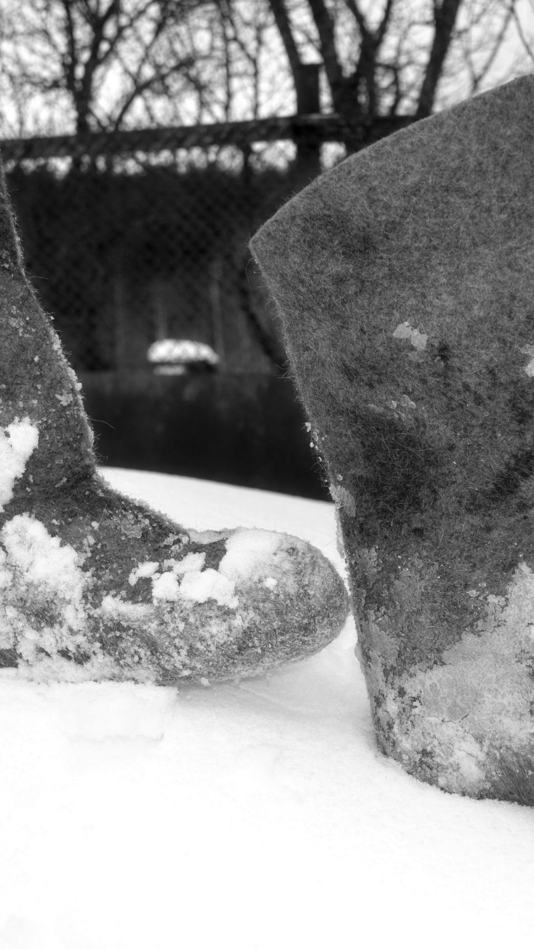 Пустые Прологи