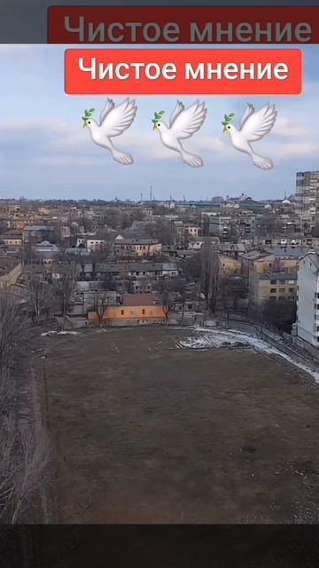 VID_20260119_213929_131.mp4