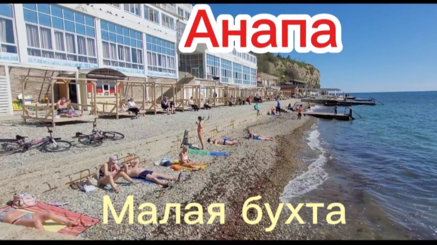 Дельфины на пляже.